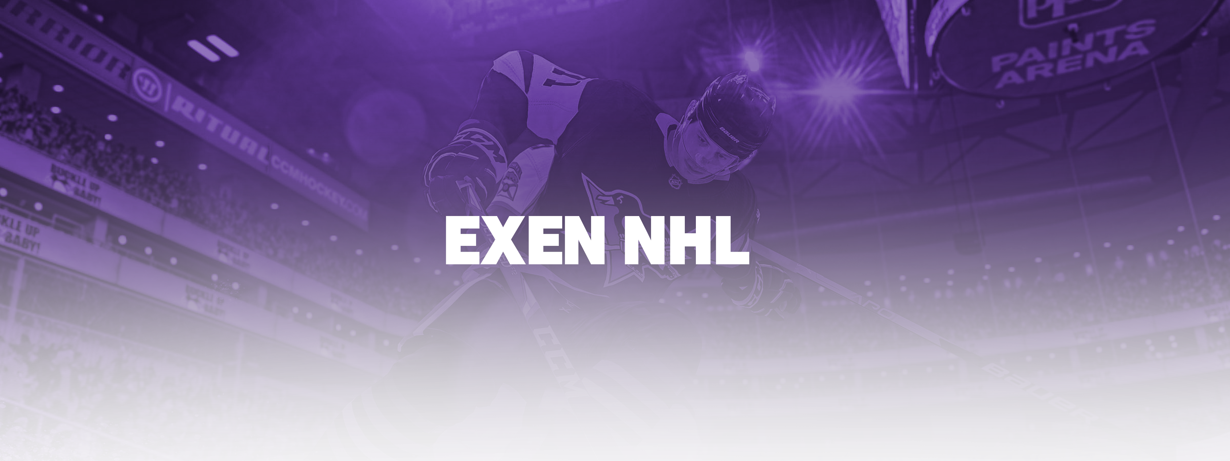 EXEN NHL BANNER
